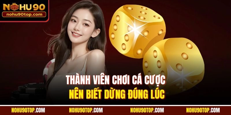 Thành viên chơi cá cược nên biết dừng đúng lúc